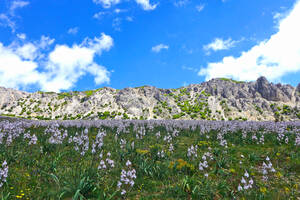 Parco delle Madonie ☀ Naturschutzgebiet auf Sizilien