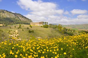 März: Frühlingsbeginn und Mandelblüte