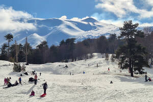 Februar: Milde Wintertage und Karneval